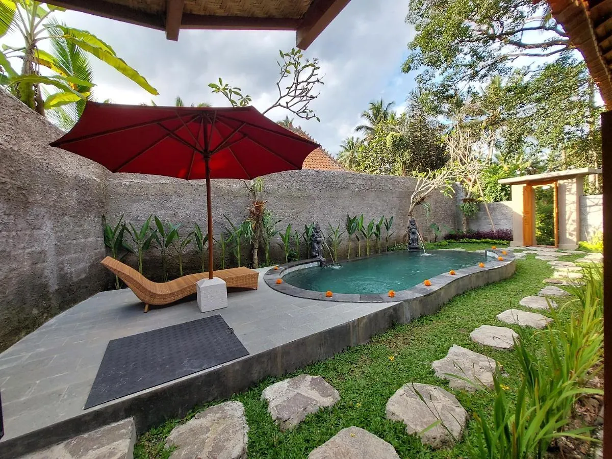 D'Ethnic Private Villa Ubud 0*, Ubud (Bali)